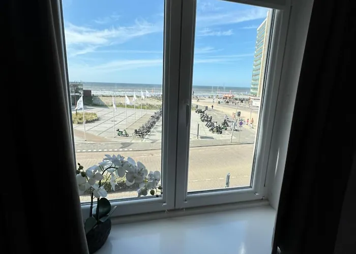 Maisonnette Indysenne 赞德沃特